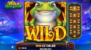 Wild Hop & Drop max win video 1