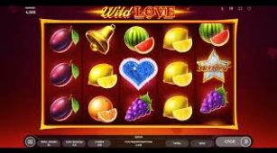 Wild Love max win video 0