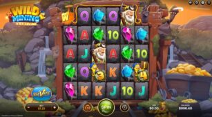 Wild Mining Xxxtreme demo play free 2