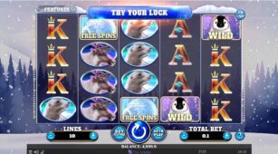 Wild Penguin demo play free 1