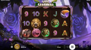 Wild Savannah demo play free 0
