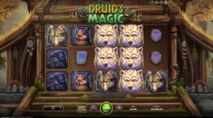 Druid’s Magic demo play free 0