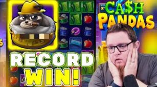 Cash Pandas max win video 1