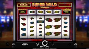 Super Wild Megaways demo play free 1