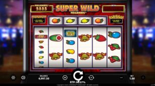 Super Wild Megaways demo play free 2