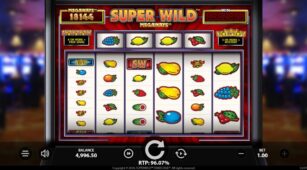 Super Wild Megaways demo play free 3