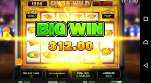 Super Wild Megaways max win video 0