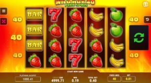 Wild Hot 40 demo play free 0