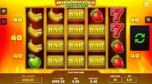 Wild Hot 40 demo play free 1