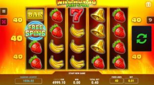Wild Hot 40 demo play free 2