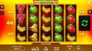 Wild Hot 40 demo play free 3