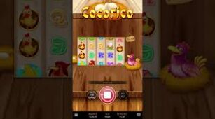 Cocorico max win video 0