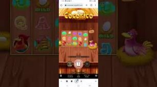 Cocorico max win video 1