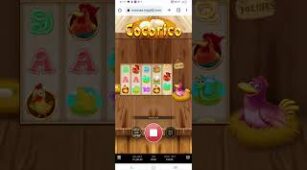 Cocorico max win video 2