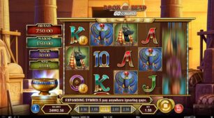 Book Of Dead Go Collect demo play free 1