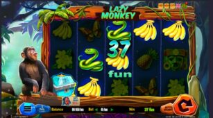 Lazy Monkey demo play free 1