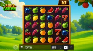 Ninja’s Garden demo play free 3