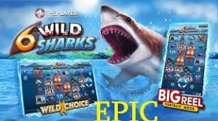 6 Wild Sharks max win video 1