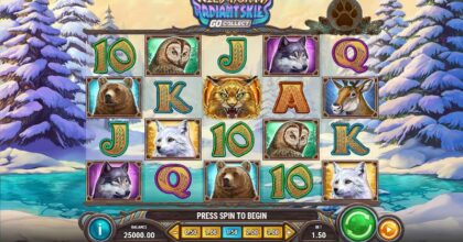 Wild North Radiant Skies