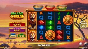 Big Cat Gold demo play free 0