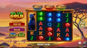 Big Cat Gold demo play free 1