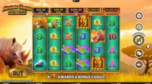 Raging Rhino Double Danger demo play free 0