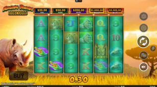 Raging Rhino Double Danger demo play free 2