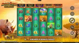 Raging Rhino Double Danger demo play free 3