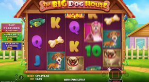The Big Dog House demo play free 1