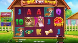 The Big Dog House demo play free 2
