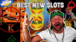 Duck Shooter max win video 1