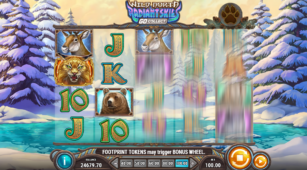 Wild North Radiant Skies Go Collect demo play free 2