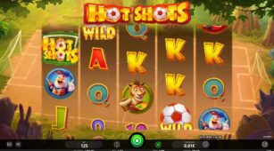 Hot Shots demo play free 0