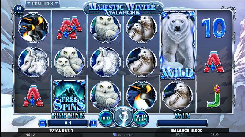 Majestic Winter – Avalanche