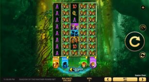 Shadow Of The Panther Power Bet demo play free 0