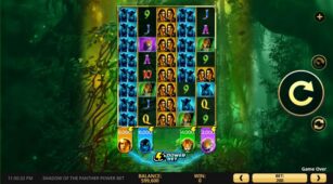 Shadow Of The Panther Power Bet demo play free 1