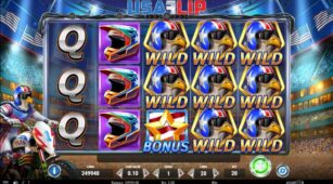 Usa Flip demo play free 2
