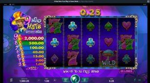 9 Mad Hats demo play free 0