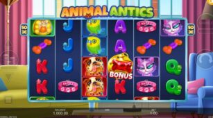 Animal Antics demo play free 1