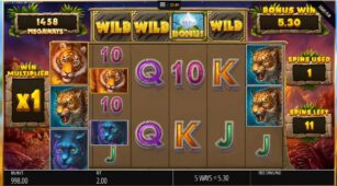 Big Cat King Megaways demo play free 3