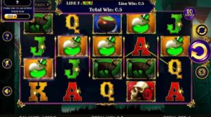 Book Of Witchcraft demo play free 2