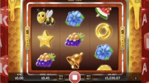 Bumble Bee demo play free 1