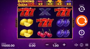 Burning Wins X2 demo play free 0