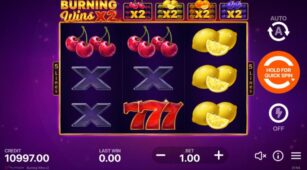 Burning Wins X2 demo play free 3