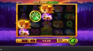 Golden Grizzly demo play free 2
