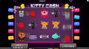 Kitty Cash demo play free 3