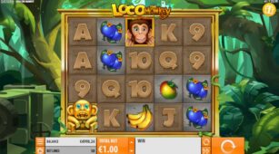 Loco The Monkey demo play free 1