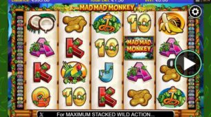 Mad Mad Monkey demo play free 2