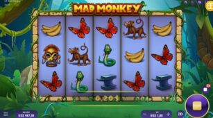 Mad Monkey demo play free 2