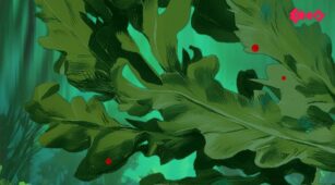 Piranha Bite Club demo play free 3